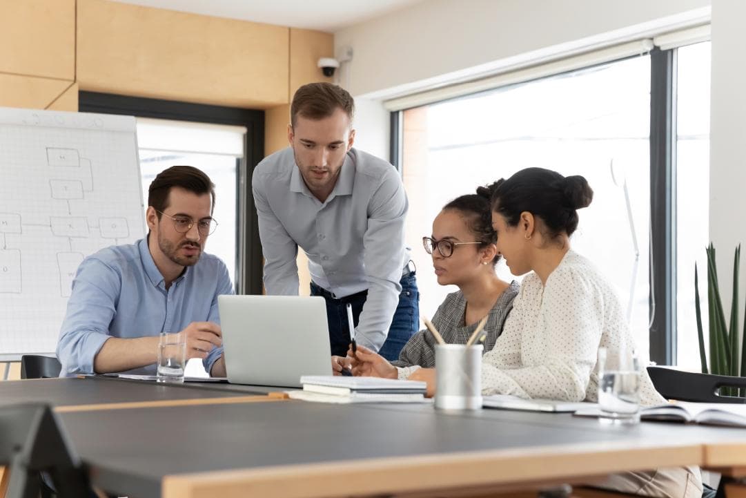 Alternative Overview Image