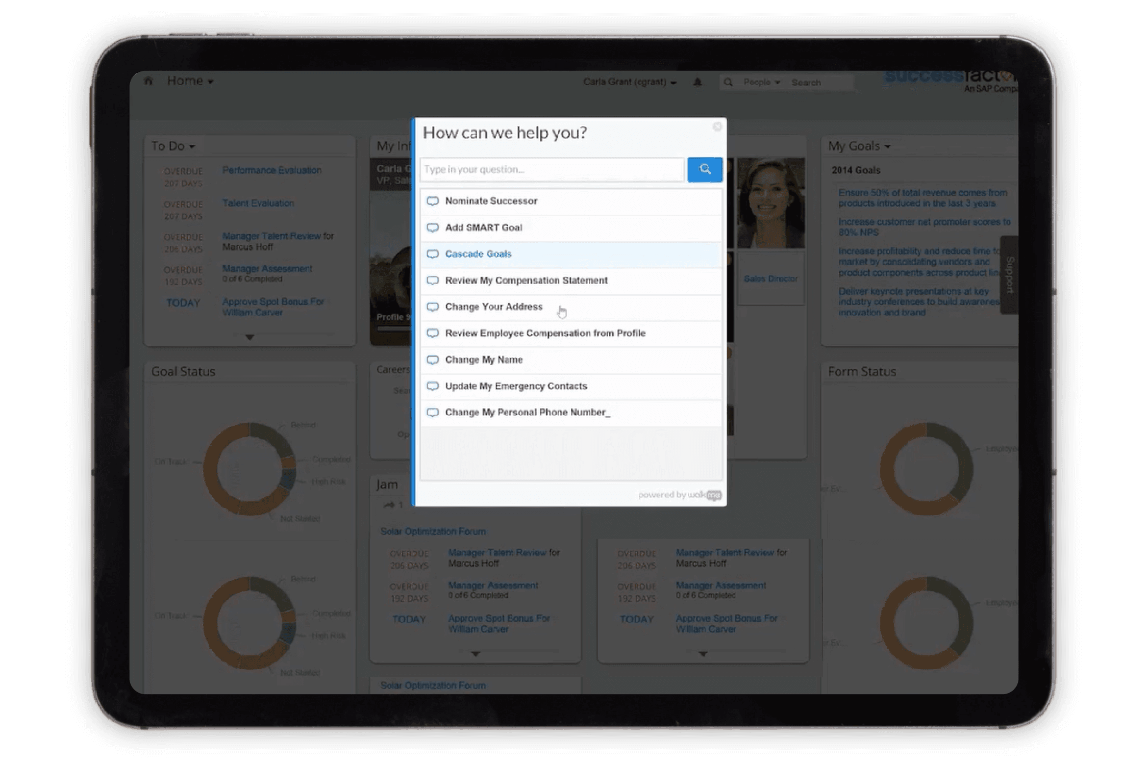 Alternative Overview Image