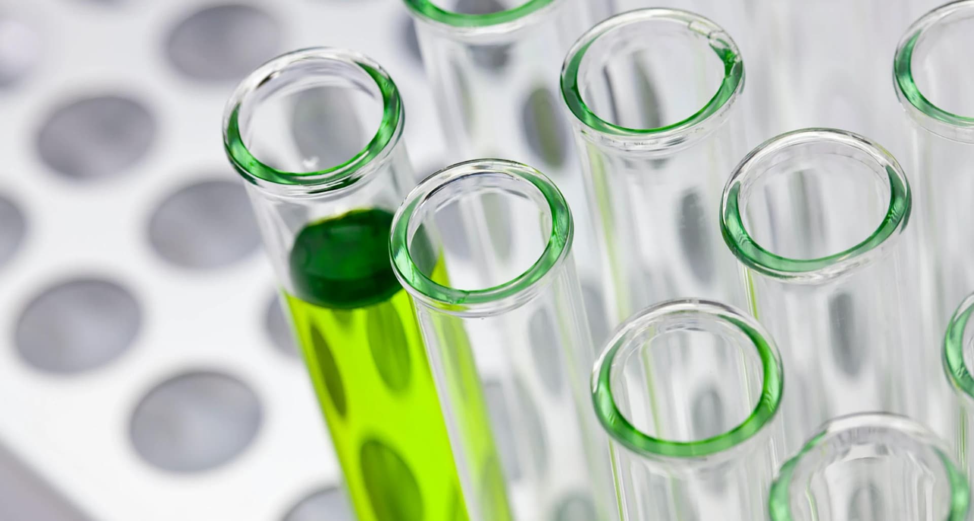 Führendes europäisches Düngemittel- und Chemieunternehmen setzt auf Zalaris für HR-Exzellenz story