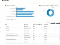 Stellenplan in SAP Analytics Cloud