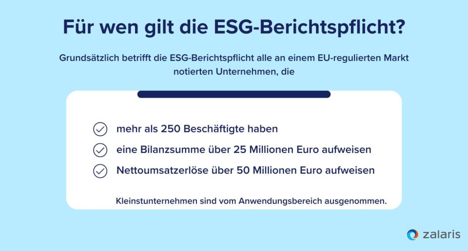 Für wen gilt die ESG-Berichtspflicht?